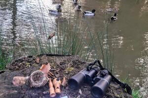 [Sortie nature] L'observation des oiseaux